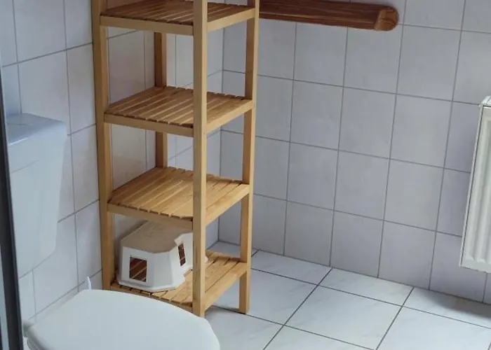 Naturerlebnisdorf Blauvogel Hasselfelde