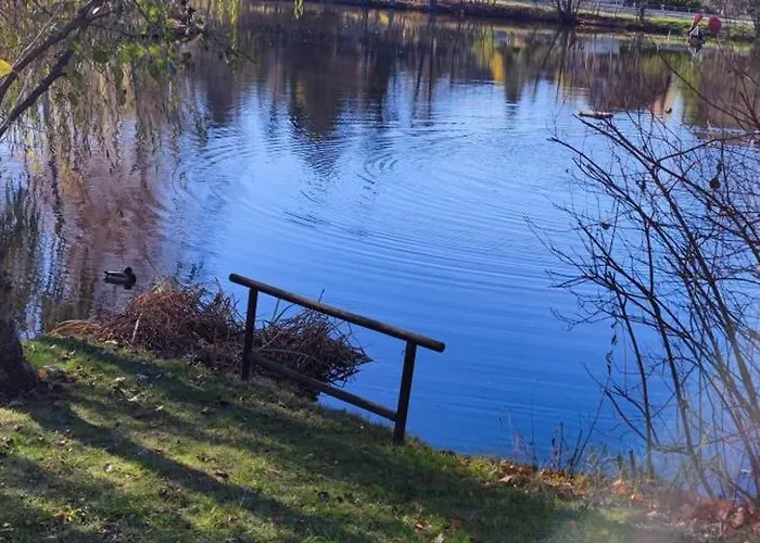 Naturerlebnisdorf Blauvogel * Hasselfelde